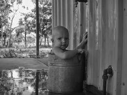 Bucket of Baby Picture
